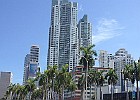 IMG 3875