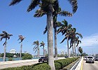 IMG 3973