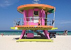 IMG 3981