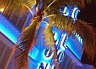 IMG 4041