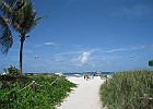 IMG 7711