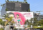 IMG 9759