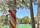 IMG 9817