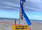 IMG 9832