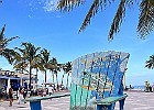IMG 9848
