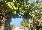 IMG 9879