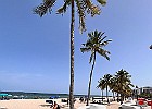 IMG 9957