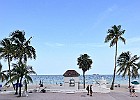 IMG 9974