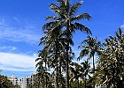 IMG E9691