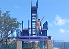 IMG 3450