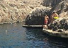 IMG 4419