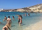IMG 4521