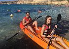 IMG 4542
