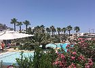 IMG 7556