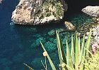 IMG 7734