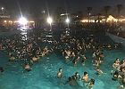 IMG 7916