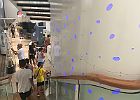 IMG 8146