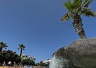 IMG 9293
