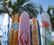 gallery-california