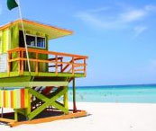 gallery-florida