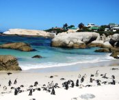 scheda-capetown