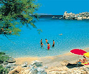 scheda-malta