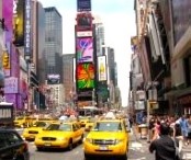 scheda-newyork12