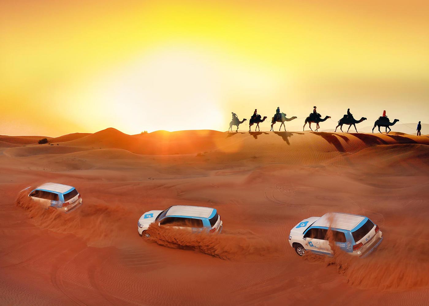 Desert Safari 50