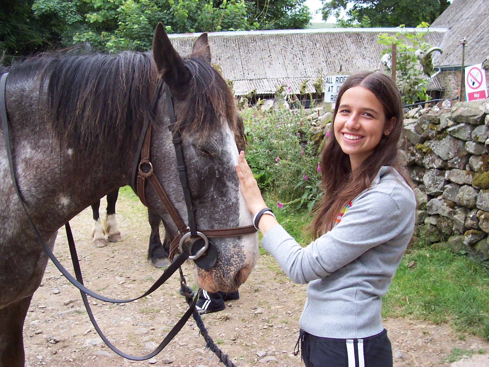 Equitazione in Irlanda